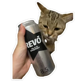 😜 emoji муся і пуся Telegram sticker 14 of 23
