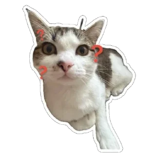 🫥 emoji муся і пуся Telegram sticker 20 of 23