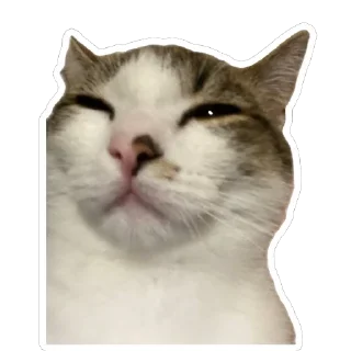 🙄 emoji муся і пуся Telegram sticker 8 of 23