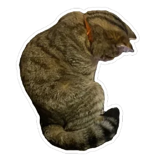 😔 emoji муся і пуся Telegram sticker 15 of 23