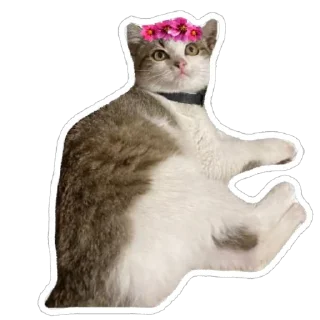 😇 emoji муся і пуся Telegram sticker 12 of 23