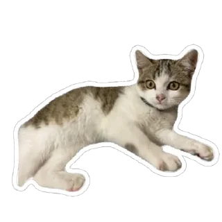 🙂 emoji муся і пуся Telegram sticker 2 of 23