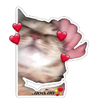🫥 emoji муся і пуся Telegram sticker 16 of 23