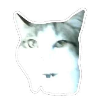 🤨 emoji муся і пуся Telegram sticker 11 of 23