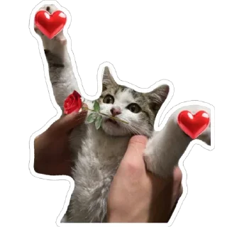 🥰 emoji муся і пуся Telegram sticker 17 of 23