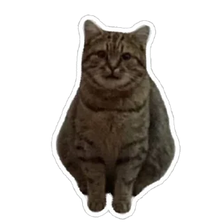 😟 emoji муся і пуся Telegram sticker 5 of 23