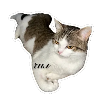 😙 emoji муся і пуся Telegram sticker 22 of 23