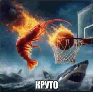 Sticker from ig bezizyanov