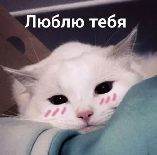 🌚 emoji YA IH SHAS SYEM — @stckrRobot Telegram sticker 21 of 120