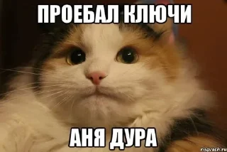 🌟 emoji алкашня юлька и анка Telegram sticker 2 of 2