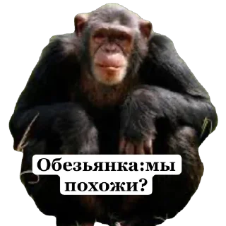 🫥 emoji Стикеры Grand Theft Auto Five @ARTEM78075 Telegram sticker 22 of 95