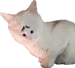 Sticker from Мяу Please