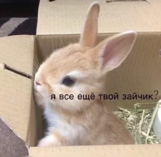 Sticker from Пикчи для любви ❤️‍🔥