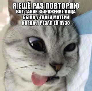 😵 emoji Артхаус by @drtyop Telegram sticker 13 of 65