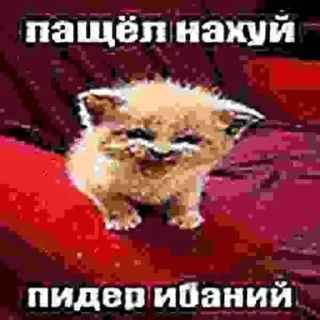 🤬 emoji Артхаус by @drtyop Telegram sticker 6 of 65