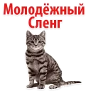 Sticker from The Best Stickers @stickersb2b