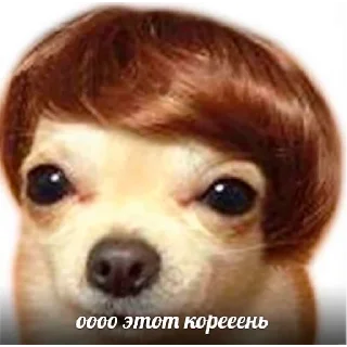 Sticker from Любимка