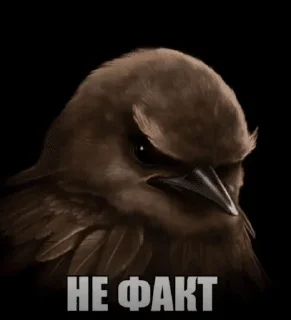 Sticker from Вряд-ли