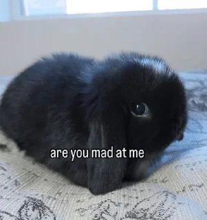 🌟 emoji клолики Telegram sticker 15 of 62