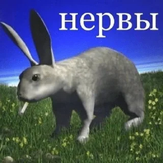 🌟 emoji клолики Telegram sticker 14 of 62