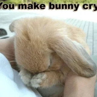 🌟 emoji клолики Telegram sticker 8 of 62