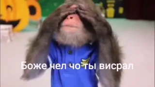 😁 emoji Солтан жи есть🥵🥵 ➡️ @Ctikerubot Telegram sticker 10 of 74