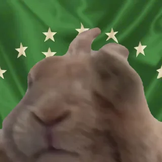 🐰 emoji Солтан жи есть🥵🥵 ➡️ @Ctikerubot Telegram sticker 6 of 74