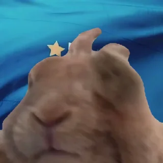 🐰 emoji Солтан жи есть🥵🥵 ➡️ @Ctikerubot Telegram sticker 7 of 74