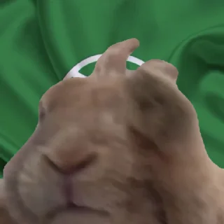 🐰 emoji Солтан жи есть🥵🥵 ➡️ @Ctikerubot Telegram sticker 5 of 74