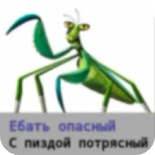 Sticker from Блин