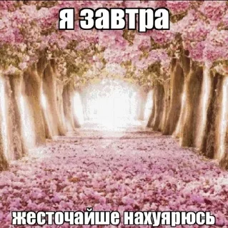 Sticker from #ячмо