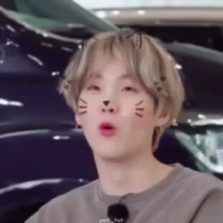 😸 emoji Mr.Kotenochkin Telegram sticker 24 of 50
