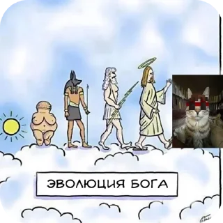 🐦 emoji Ооо котомадих помилуй.. Telegram sticker 3 of 24