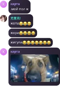 Sticker from ꒰ 🎼 ꒰ ролка по улей & ллс ۟ - pack by @QuotLyBot