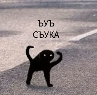 😡 emoji Виталик лох💗 Telegram sticker 2 of 51