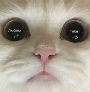 ❤️ emoji Виталик лох💗 Telegram sticker 7 of 51