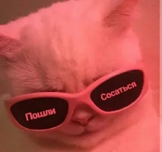 😎 emoji Виталик лох💗 Telegram sticker 8 of 51