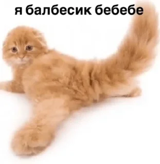коты и т.д sticker 2