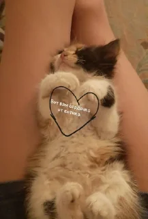 Sticker from Лав