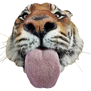 😝 emoji HÖCHST MICH DEUTSCHE ❤️ Telegram sticker 24 of 120
