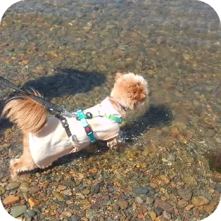 🏖 emoji ~Хᥲᴛκᥲ ᧐ᴛ ⲙᥲᴛκᥙ стикеры ух трындец Telegram sticker 9 of 35