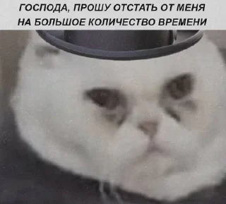 🎩 emoji Культурные стикеры Telegram sticker 16 of 70