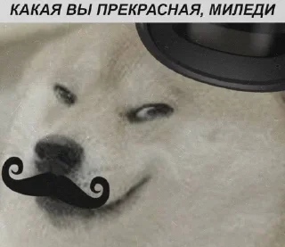 🎩 emoji Культурные стикеры Telegram sticker 17 of 70