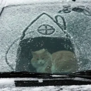 🌨 emoji м.яу❤️ made by:@treshhss Telegram sticker 10 of 98