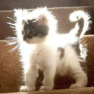 ☀️ emoji м.яу❤️ made by:@treshhss Telegram sticker 5 of 98
