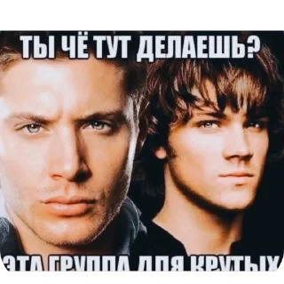 🤨 emoji хлебница с окурками Telegram sticker 14 of 100