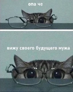 Sticker from котеки