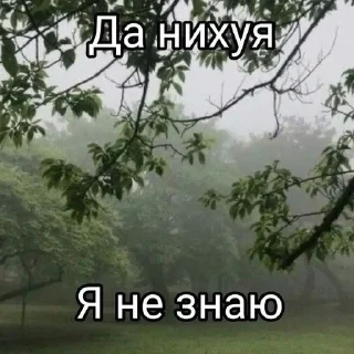 Sticker from етишкин пистолет