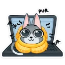 Sticker from Кицька Сет @ukrainian_stickers