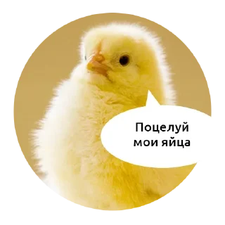 🖕 emoji лоля кор Telegram sticker 10 of 53